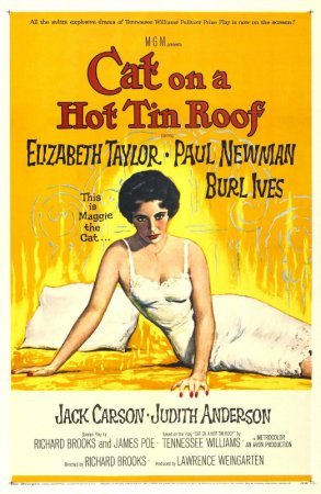 კატა გახურებულ სახურავზე / Cat on a Hot Tin Roof ქართულად