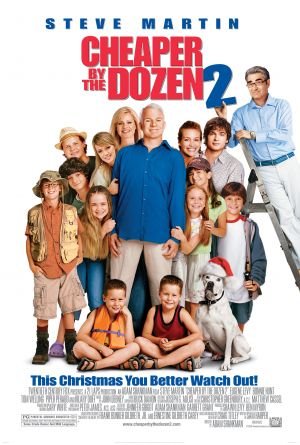 ბითუმად უფრო იაფია 2 / Cheaper by the Dozen 2 ქართულად