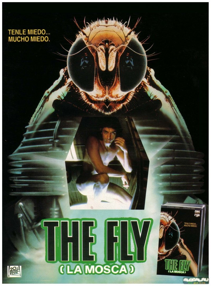 ბუზი / The Fly ქართულად