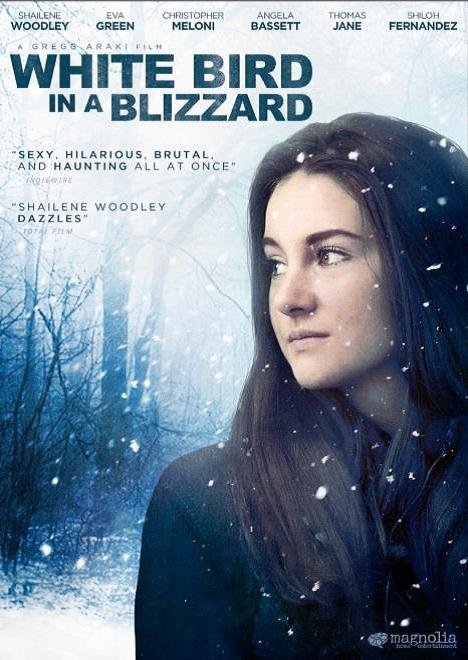 თეთრი ჩიტი ქარბუქში / White Bird in a Blizzard ქართულად