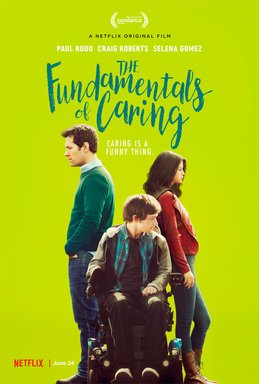 სიკეთის ძირითადი პრინციპები / The Fundamentals of Caring ქართულად