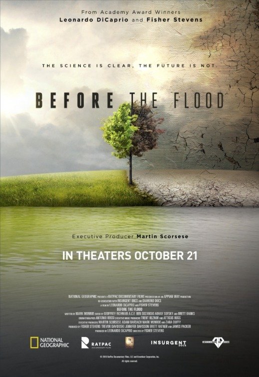 წყალდიდობამდე / Before the Flood ქართულად