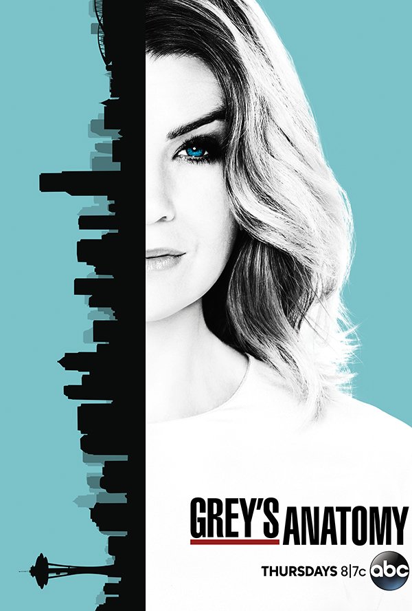 გრეის ანატომია სეზონი 13 / Grey`s Anatomy Season 13 ქართულად