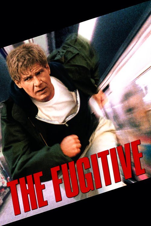 გაქცეული / The Fugitive (Gaqceuli Qartulad) ქართულად