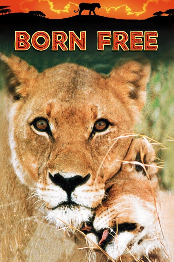 დაბადებული თავისუფლად / Born Free ქართულად