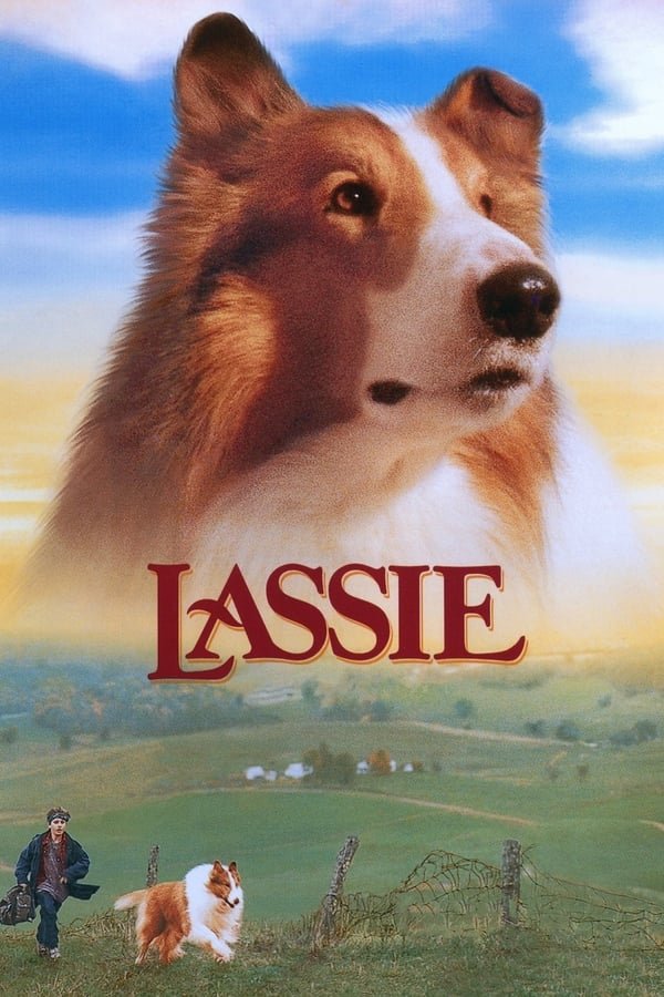 ლესი / Lassie ქართულად