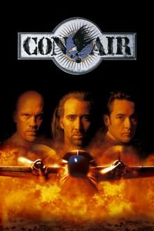 საჰაერო ციხე / Con Air ქართულად