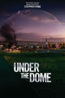 გუმბათის ქვეშ სეზონი 1 / Under the Dome Season 1 ქართულად