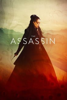 მკვლელი / The Assassin (Mkvleli Qartulad) ქართულად