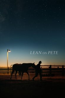 ქონდეთ პიტის იმედი / Lean on Pete ქართულად