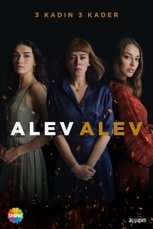 კაშკაშა ალი / Flames of Fate (Alev Alev) ქართულად