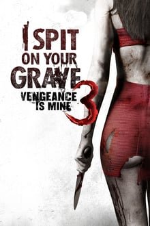 მიმიფურთხებია თქვენი საფლავებისთვის 3 / I Spit on Your Grave III: Vengeance is Mine ქართულად