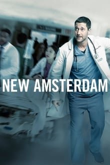 ახალი ამსტერდამი / New Amsterdam (Axali Amsterdami Qartulad) ქართულად