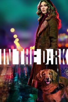 სიბნელეში სეზონი 2 / In the Dark Season 2 (Sibneleshi Sezoni 2) ქართულად