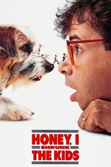 ძვირფასო, მე ბავშვები დავაპატარავე / Honey, I Shrunk the Kids (Dzvirfaso, Me Bavshvebi Davapatarave) ქართულად