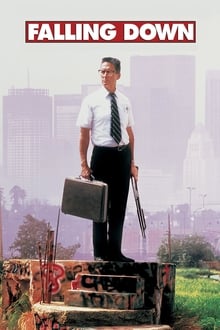 ეს უკვე მეტისმეტია / Falling Down (Es Ukve Metismetia Qartulad) ქართულად