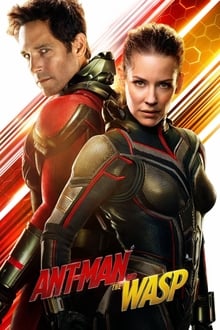 ადამიანი ჭიანჭველა და ბზიკი / Ant-Man and the Wasp (Adamiani Chianchvela da Bziki Qartulad) ქართულად